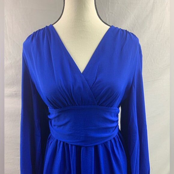 Lantern Sleeve Ruched Waist Dress Blue - Picture 8 of 10